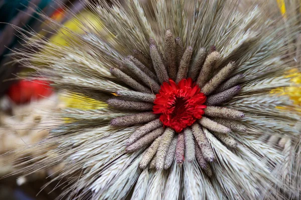 Bloemen uit gedroogde bloemen. Groenvoer zijn gebonden en drogen in het hok. Fragment foto van jaarlijkse traditionele ambachten eerlijke - Kaziuko eerlijke op 7 Mar 2015 in Vilnius, Litouwen — Stockfoto