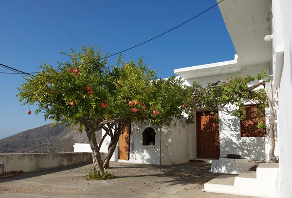 Tilos island, Yunanistan Yunanistan evde tipik sahne. Güneşli sıcak bir günde Tilos island, Yunanistan. Geleneksel Yunanistan ev ins küçük köyde Tilos, parçası Fotoğraf