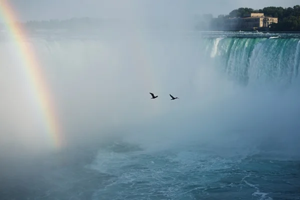 Two birds flying above Niagara falls, Niagara falls in romantic photo — Stock Photo, Image