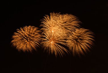 Altın portakal için metin, malta fireworks festival, 4 Temmuz Bağımsızlık günü, yeni yıl, yer ile şaşırtıcı havai fişek koyu arka planda izole yakın çekim patlayabilir