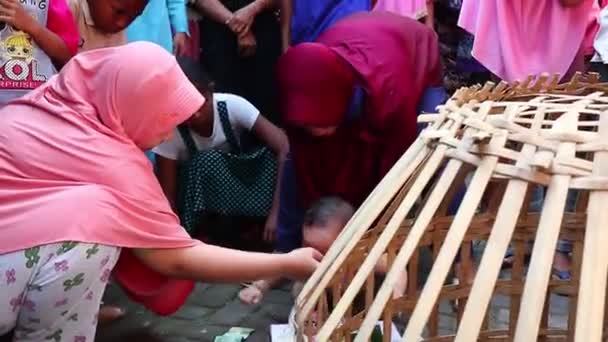 Tedhak Siten Adalah Serangkaian Prosesi Tradisional Dari Tanah Jawa Yang — Stok Video