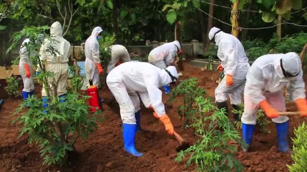 Processus Funéraire Cadavre Infecté Par Virus Couronne Avec Protocole Covid — Video