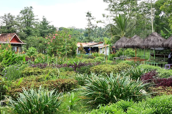 Prachtige Tuin Binnenplaats Van Een Villa Een Frisse Berg Met — Stockfoto