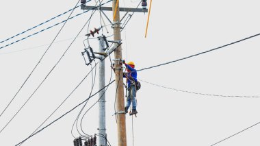  Elektrik direği tamircisi elektrik direği üzerinde çalışıyor.