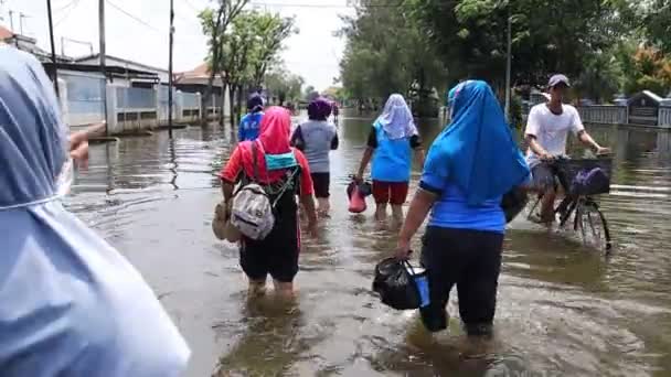 Lakosok Sétálnak Egy Elárasztott Úton Pekalongan Indonézia 2021 Február — Stock videók