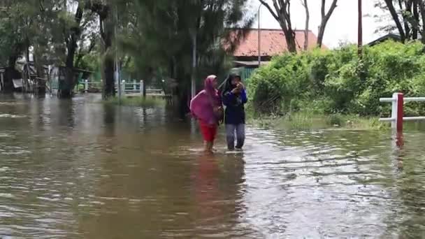 Мешканці Міста Проходячи Затопленою Дорогою Пекалонган Індонезія Лютого 2021 Року — стокове відео