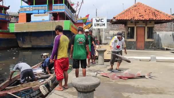 Rybáři Vyloží Své Úlovky Čerstvých Ryb Rybářský Vozík Skladu Tradiční — Stock video