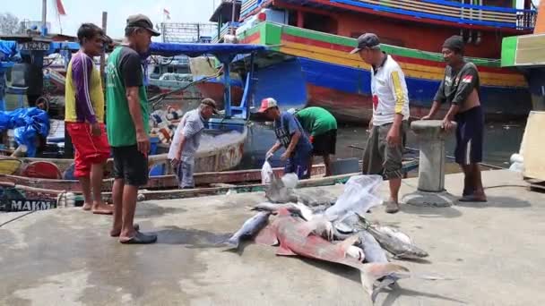 Nelayan Mengangkut Hasil Tangkapan Ikan Segar Gerobak Ikan Dari Tempat — Stok Video