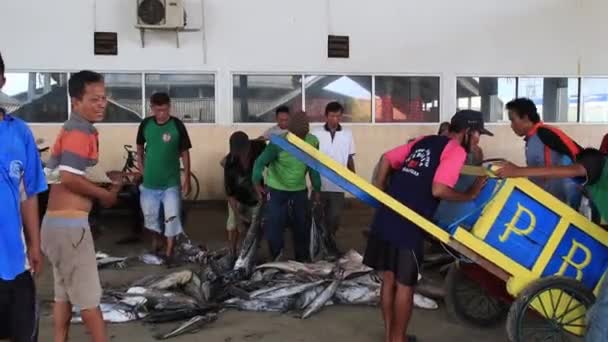 Fischertätigkeit Beim Verladen Des Fischfangs Auf Der Fischauktion Pekalongan Indonesien — Stockvideo