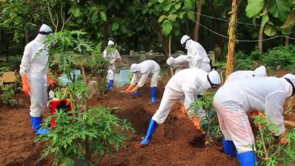 Processus Funéraire Cadavre Infecté Par Virus Couronne Avec Protocole Covid — Video