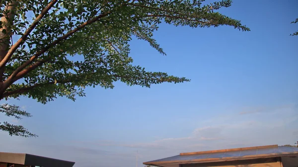 Pemandangan Langit Mendung Dari Dalam Gedung Dengan Pohon Pohon Sekitarnya — Stok Foto