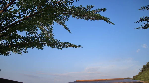 View Cloudy Sky Building Surrounding Trees — Stock Photo, Image