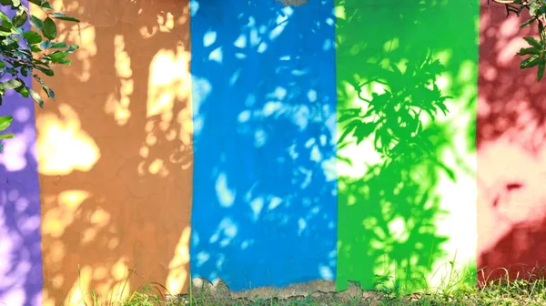 ユニークな装飾を形成する木の影とカラフルな壁 — ストック写真