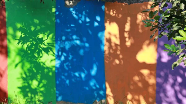 ユニークな装飾を形成する木の影とカラフルな壁 — ストック写真