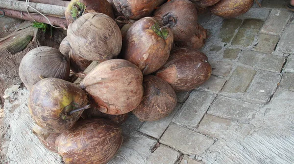 Oude Groene Bruine Kokosnoten Zijn Samen Gestapeld Gedroogde Kokosnoot Buitenzonlicht — Stockfoto