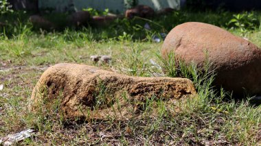 Ancient stone remnants lie scattered amidst green grass and foliage, evoking a sense of history and decay in the warm sunlight.