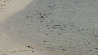 Parlak güneşli bir günde kumlu sahil boyunca temiz turkuaz suya doğru yol alan ayak izleri bir huzur hissi uyandırıyor ve kaçıyorlar..