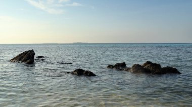 Huzurlu bir sabahta, kıyı kenarındaki turkuaz deniz, sakin ve doğal bir deniz manzarası yaratıyor..