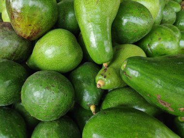 Açık hava pazarında sergilenen olgun avokado yığınları canlı yeşil derilerini ve pürüzsüz dokularını sergiliyor, sağlıklı beslenmeyi ve aşçılık yaratıcılığını teşvik ediyor..