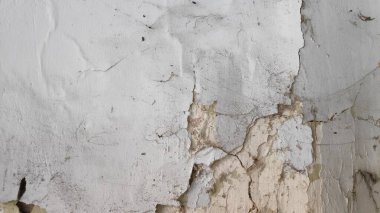Eski binadaki çatlak alçı, çürüme ve ihmal katmanlarını gösteriyor. Eski görünümle doku ve desen yaratıyor..