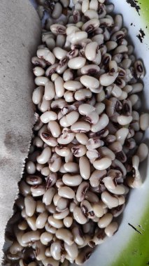 Mutfakta pişirmeden önce metal bir kâsede sırılsıklam olmuş bezelyeler kremsi renklerini ve dokularını sergiliyor, doyurucu bir yemeğe hazırlanıyorlar..