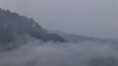 Bulutlarla kaplı puslu dağlar yemyeşil tepelerde dingin ve atmosferik bir manzara yaratır. Gizem ve sükunet hissi uyandırır..