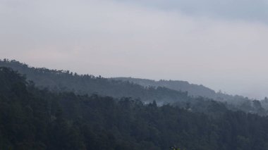 Bulutlarla kaplı puslu dağlar yemyeşil tepelerde dingin ve atmosferik bir manzara yaratır. Gizem ve sükunet hissi uyandırır..