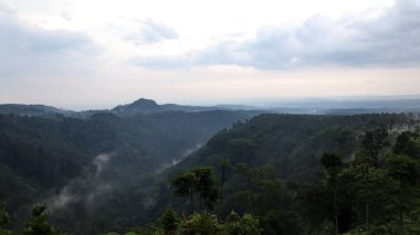 Bereketli yeşil orman, bulutlu bir gökyüzünün altında yuvarlanan tepeleri kaplıyor. Dağlarda huzurlu ve huzurlu bir manzara yaratıyor.