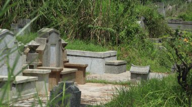 Kırsal bir mezarlıkta, parlak mavi bir gökyüzünün altında uzun otların arasında duran eski taş mezarlar kasvetli ama huzurlu bir atmosfer yaratıyor..