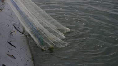 Balıkçılar sabahın erken saatlerinde kumlu sahilden denize ağ atıyorlar. Bol avlanma umuduyla. Balıkçılık geleneğini yansıtıyor..