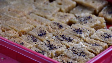 Küçük siyah tohumlarla başlayan bir tohum tepsisinin yüzeyine nazikçe dokunan el, çimlenme sürecini ve bir bahçe ortamında yeni başlangıçları gözler önüne seriyor. Özel malzemeler üzerine sebze tohumları ekme süreci