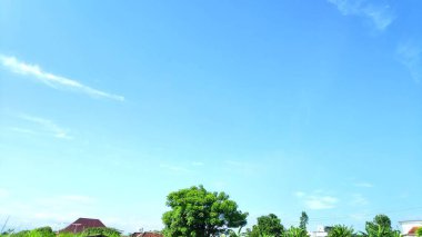 Parlak bir yaz günü, parlak yeşil bir ağacın üzerinde berrak mavi gökyüzünde güzel pofuduk beyaz bir bulut manzarası.