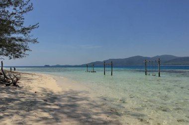 İçinde palmiye ağaçları ve turkuaz okyanus boyunca beyaz kumların bulunduğu güzel tropikal plaj mavi bir yaz gökyüzü altında bir cennet adası tatil sahilinde.