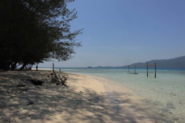 Sakin bir kış sabahı manzarası, sakin okyanus kıyısında canlı bir gündoğumu gökyüzüne karşı siluetli tropikal bir plaj ve ağaçlar barındırıyor.