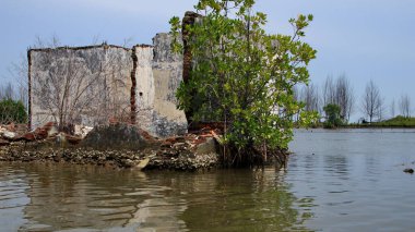 Beton bir binanın kalıntıları sığ sularda terk edilmiş, kabuklar ve yapraksız ağaçlarla çevrili, sahil erozyonunu, yükselen denizleri ve insanların kaybolan varlığını sembolize ediyor..