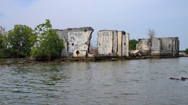 Deniz kabukları ve seyrek bitki örtüsüyle çevrili sığ kıyı sularında terk edilmiş eski bir beton yapı çevresel erozyonu ve zamanın geçişini yansıtıyor..