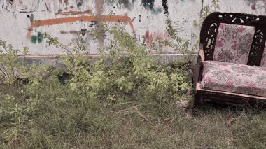 Terk edilmeyi ve çürümeyi sembolize eden, yıpranmış bir duvarla desteklenen, üzerinde desenli yastıkları olan ihmal edilmiş ahşap bir kanepe, fazla büyümüş bir avluda tek başına oturur..