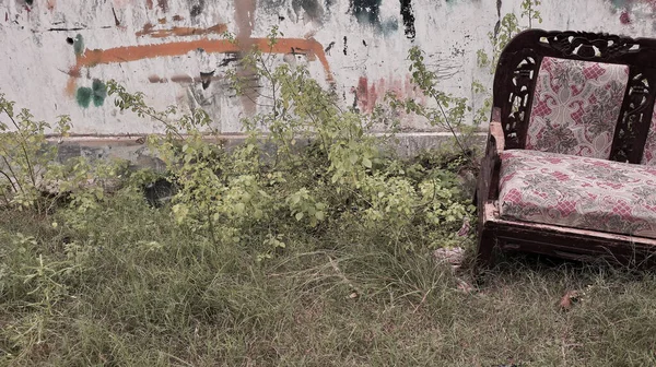 Terk edilmeyi ve çürümeyi sembolize eden, yıpranmış bir duvarla desteklenen, üzerinde desenli yastıkları olan ihmal edilmiş ahşap bir kanepe, fazla büyümüş bir avluda tek başına oturur..