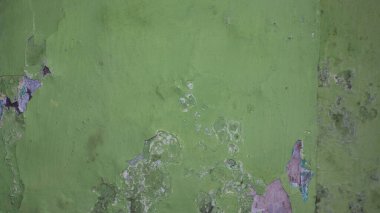 Canlı, yeşil bir duvara yakın. Geniş kabuklu boya, çatlaklar ve pürüzlü dokuyu gösteriyor. Geçmişler, grunge efektleri ve eski yüzey tasarımları için ideal. Ayrıntılı soyut desen.