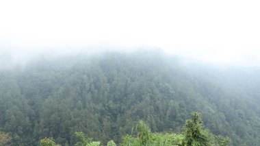 Yoğun ağaçlar ve sürüklenen sislerle dolu sakin bir dağ manzarası. Dokunulmamış doğanın huzurlu ve ferahlatıcı bir görüntüsünü oluşturuyor..