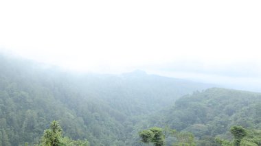 Yoğun ormanlarla kaplı yeşil dağ yamaçları solgun sise dönüşür, sessiz ve rahatlatıcı doğal bir manzara sunar..