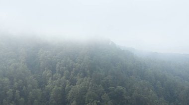 Yoğun ağaçlarla kaplı dağ yamaçları, ferahlatıcı ve barışçıl bir atmosfer sunan beyaz sise dönüşür..