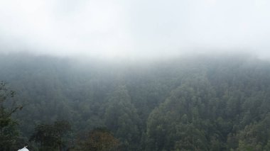 Yeşil tepeler mesafeye uzanıyor. Yumuşak sis tepe örtüsünün üzerine yerleşip derinliği ve yumuşaklığı arttırıyor..