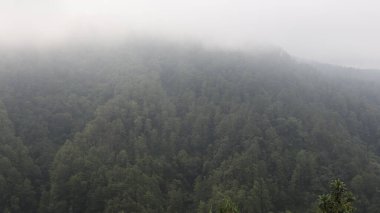 Ağaçlık arazi, ağaçların tepelerinde süzülen sis gibi yamaçları örtüyor ve sakin ve atmosferik bir dağ manzarası yaratıyor..