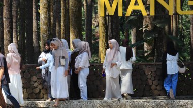 Türban takan bir grup insan, 22 Temmuz 2025 'te Endonezya' nın Yogyakarta kentinin manzaralı orman parkı girişinde güneşli bir günün tadını çıkarırken büyük sarı bir tabela ve uzun çam ağaçlarının yanında toplandı.