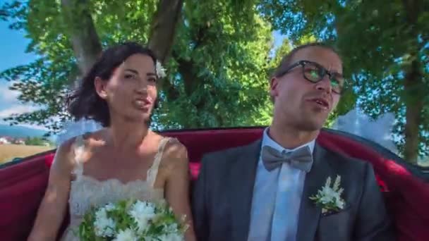 Recém Casados Estão Andando Uma Carruagem Passando Por Árvores Verdes — Vídeo de Stock
