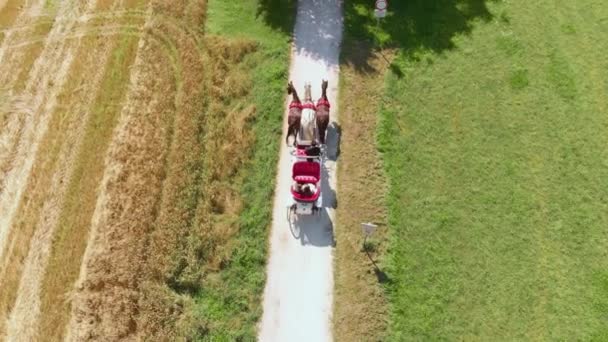 Pemandangan Atas Yang Indah Dari Kereta Pernikahan Dengan Tiga Kuda — Stok Video