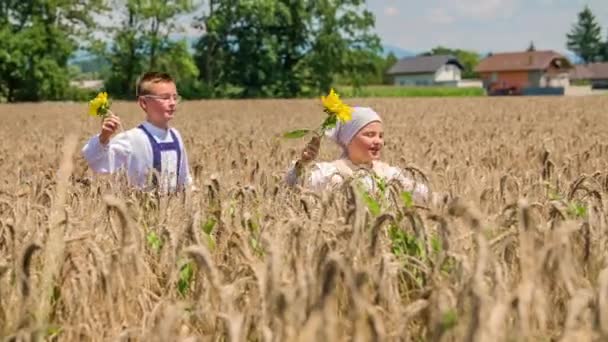 小麦畑で2人の子供がひまわりを抱えている スローモーション — ストック動画