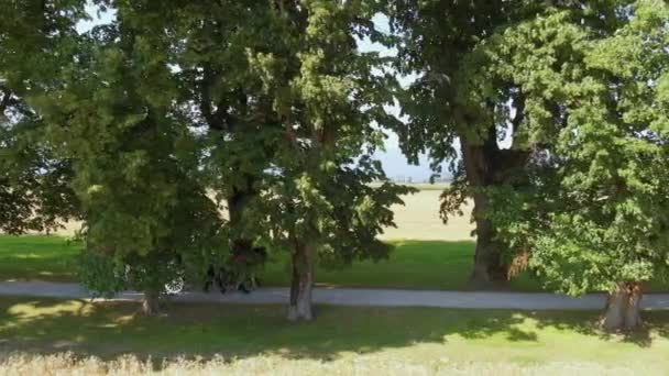 Prachtig Uitzicht Huwelijkskoets Bewegend Het Platteland — Stockvideo