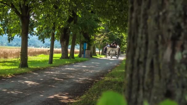 在孤独的乡间道路上 宁静的马车驶离的景象 — 图库视频影像